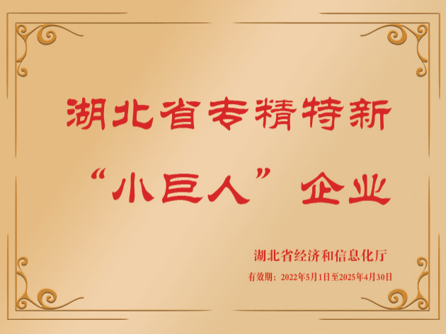 湖北省专精特新小巨人企业证书
